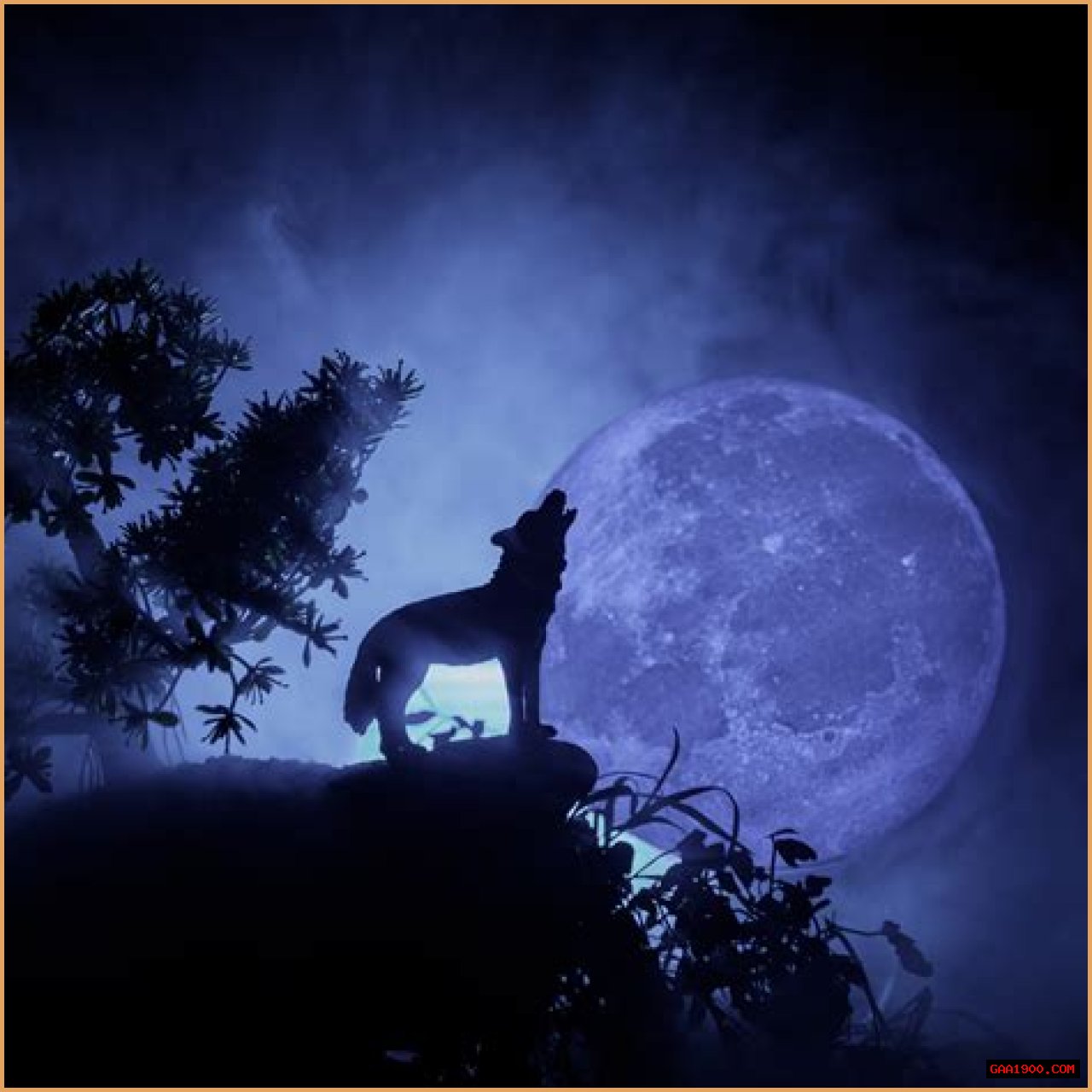Howl at the moon
